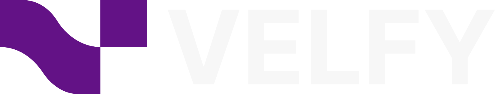 VFE Logo